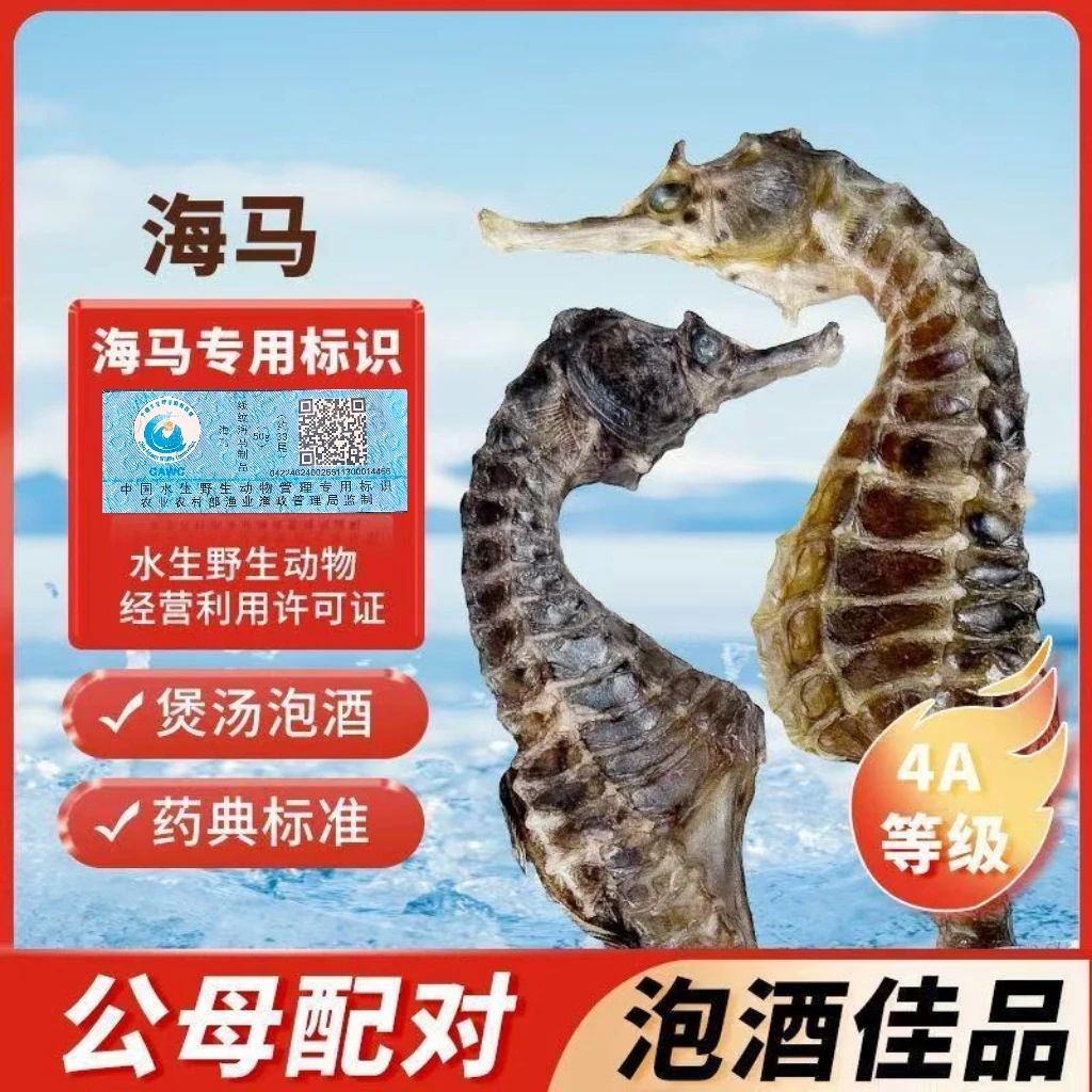 0.5-1克蓝标溯源码海南产地发货精选海马公母配对可炖汤可泡酒的