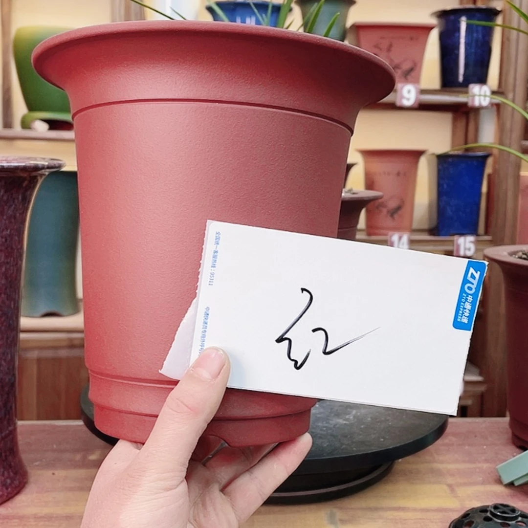 【闪购商品】紫砂花盆兰花755884558855866588