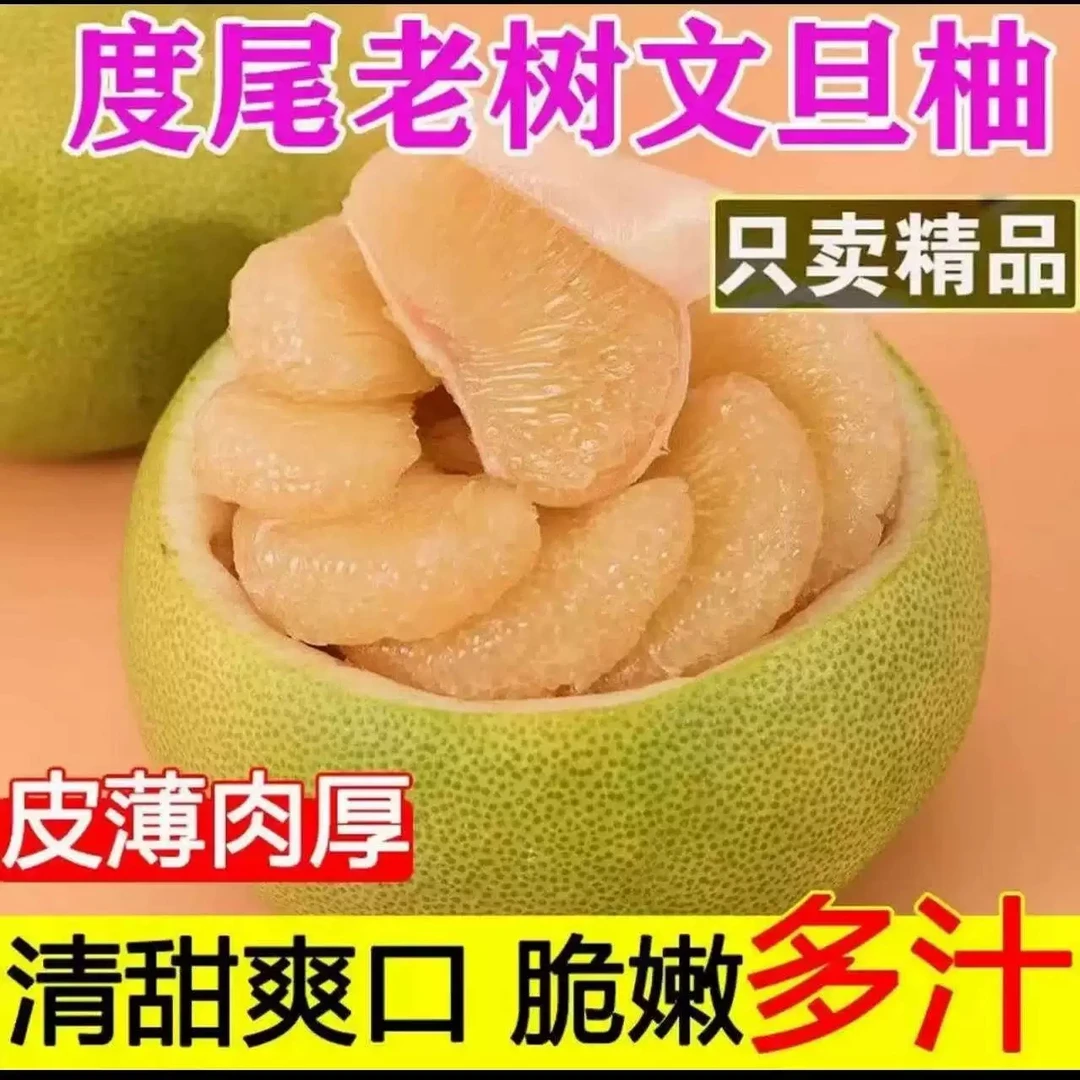 福建仙游度尾文旦柚新鲜应季红心酸甜多汁孕妇水果现摘现发