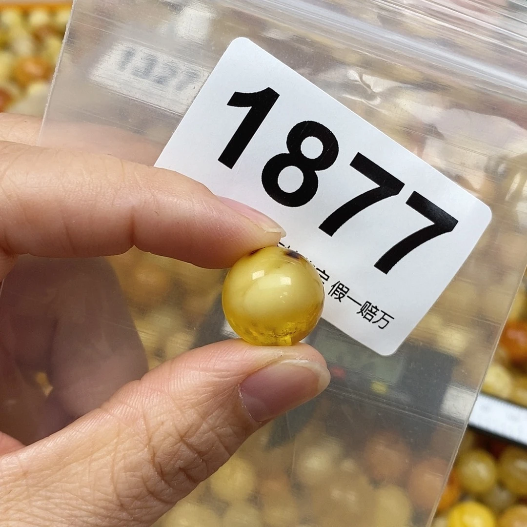 蜜蜡未镶嵌珠宝奇石15.5