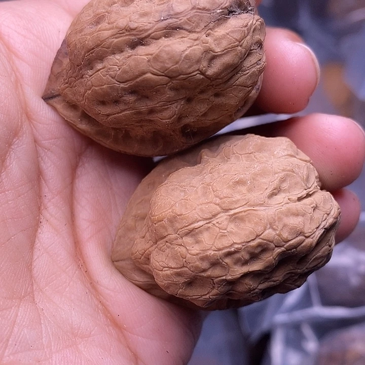 把件文玩核桃   74