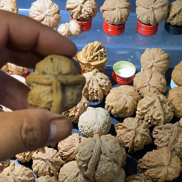 天***雄大叶紫檀（黑酸枝木类）