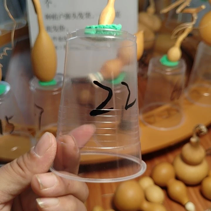 22号自助下单了吗？