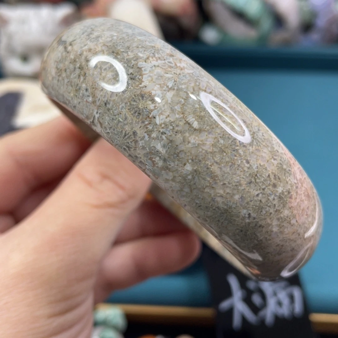 未镶嵌手镯硅化玉