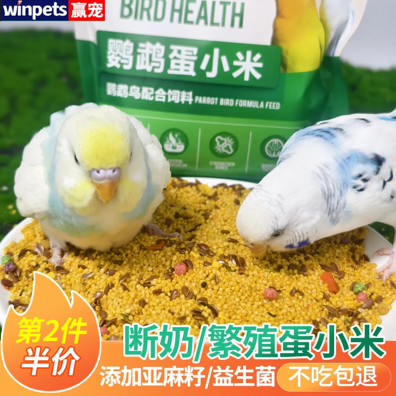 鹦鹉蛋小米营养鸟粮文鸟繁殖虎皮牡丹玄凤鸡蛋米断奶学吃无壳鸟食