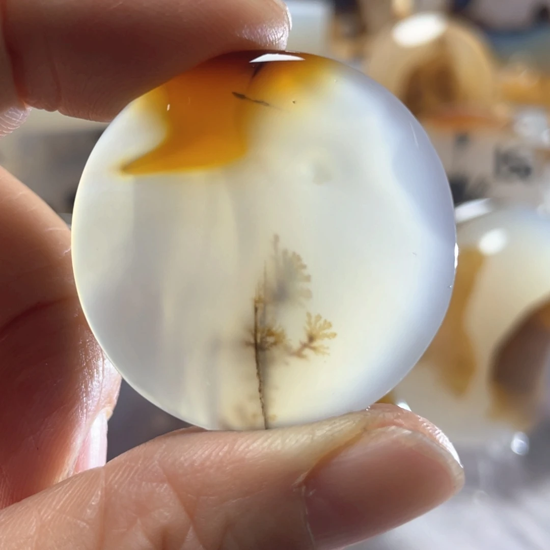 【闪购商品】玛瑙/玉髓颈饰合金