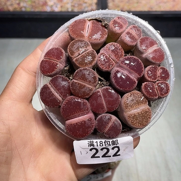 当天凑满十八元包邮222