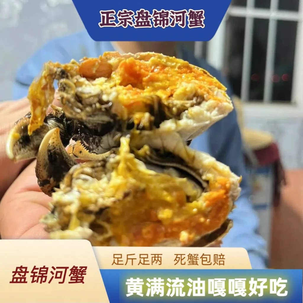 【活蟹】正宗盘锦河蟹 （2.0-1.8两/只）2斤公蟹