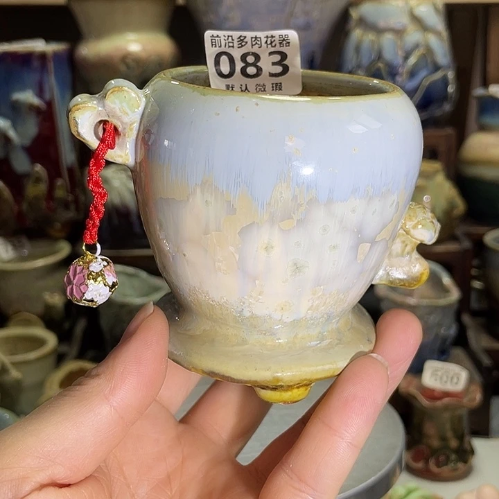狼盆内口径6高度8