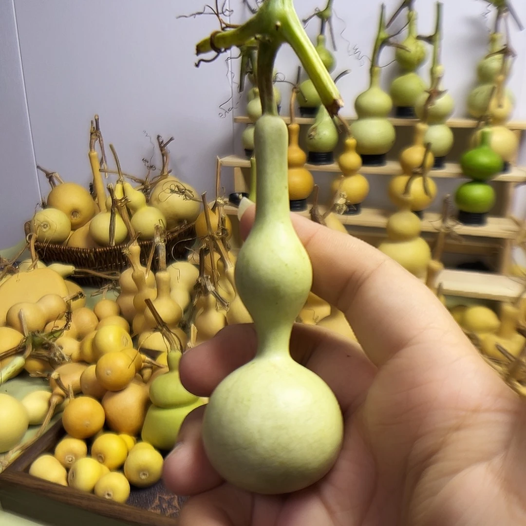 宇***╲大叶紫檀（黑酸枝木类）