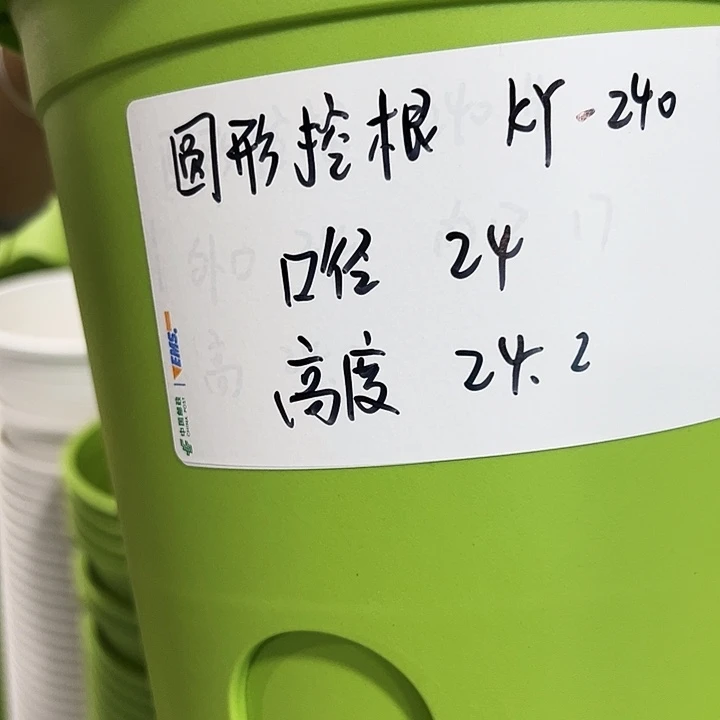 正品圆形控根口24高24果绿色8个无托