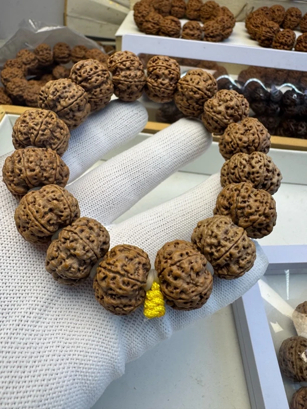 21毕业级六瓣梁大金刚爆肉双龙纹菩提雪花飞碟状桩