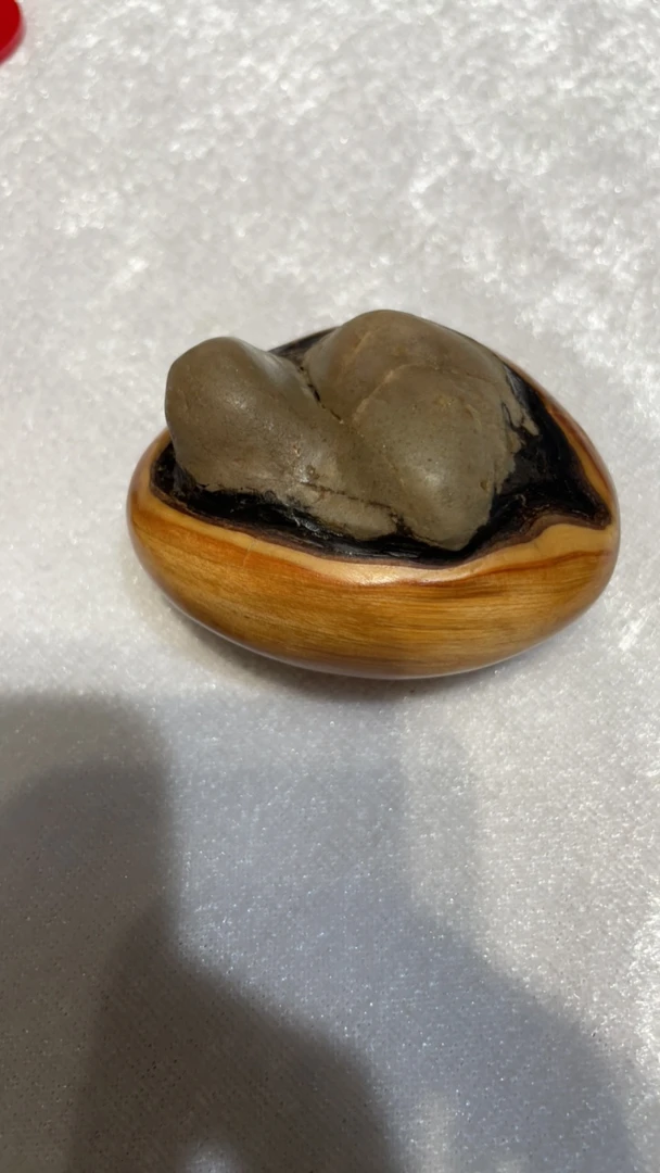 太行崖柏陈华手玩