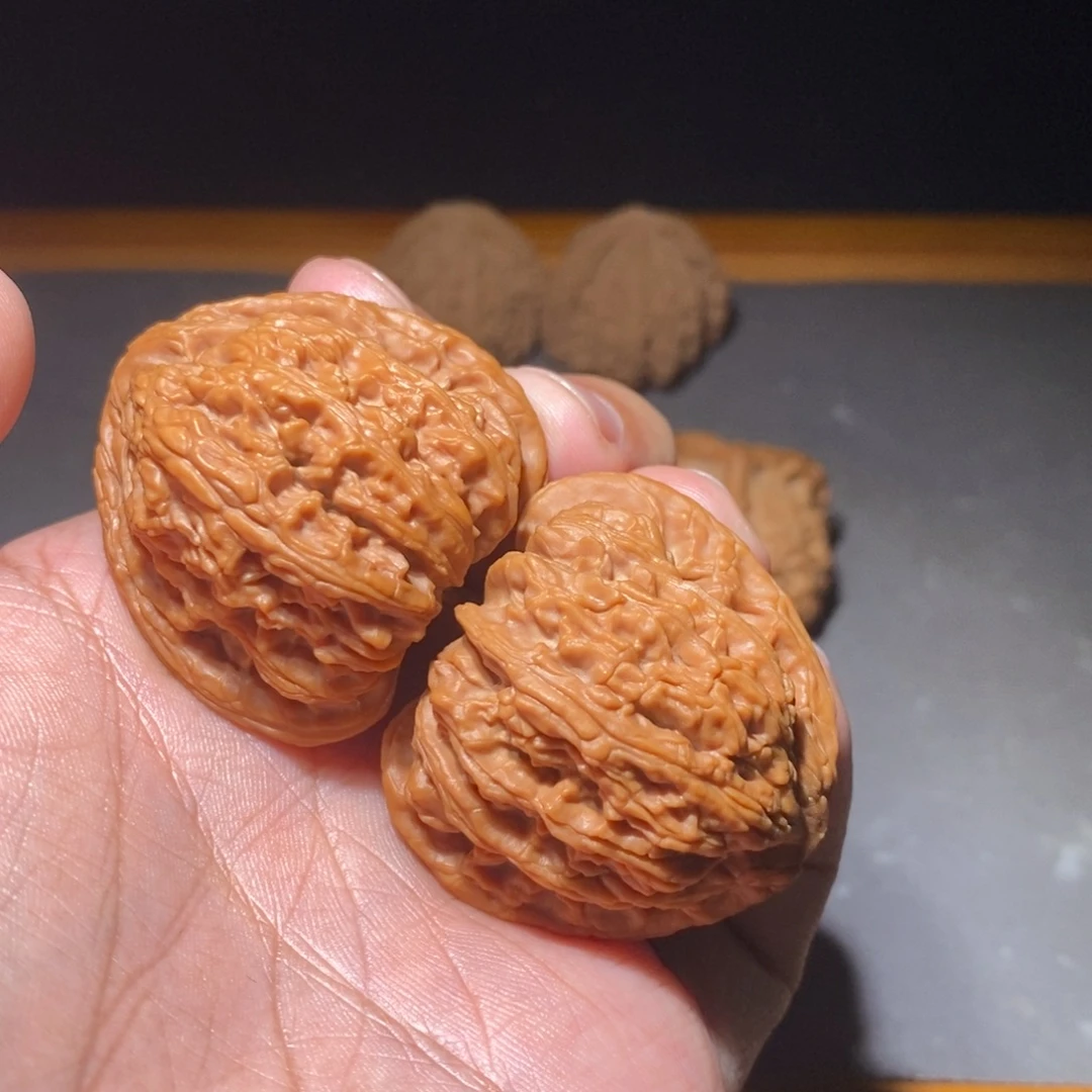 马***上核桃41山西密纹全品