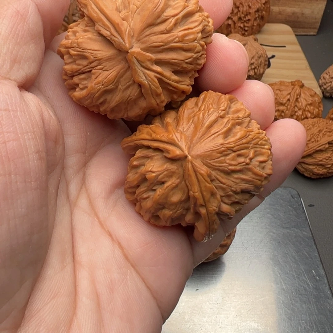 文玩核桃把件白狮子异形