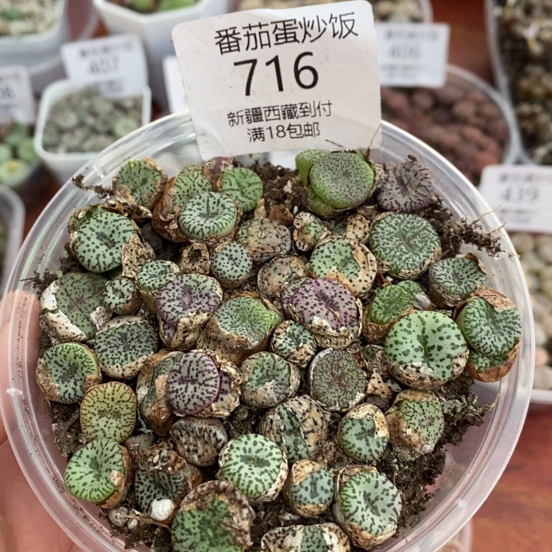 感谢您的支持，00716
