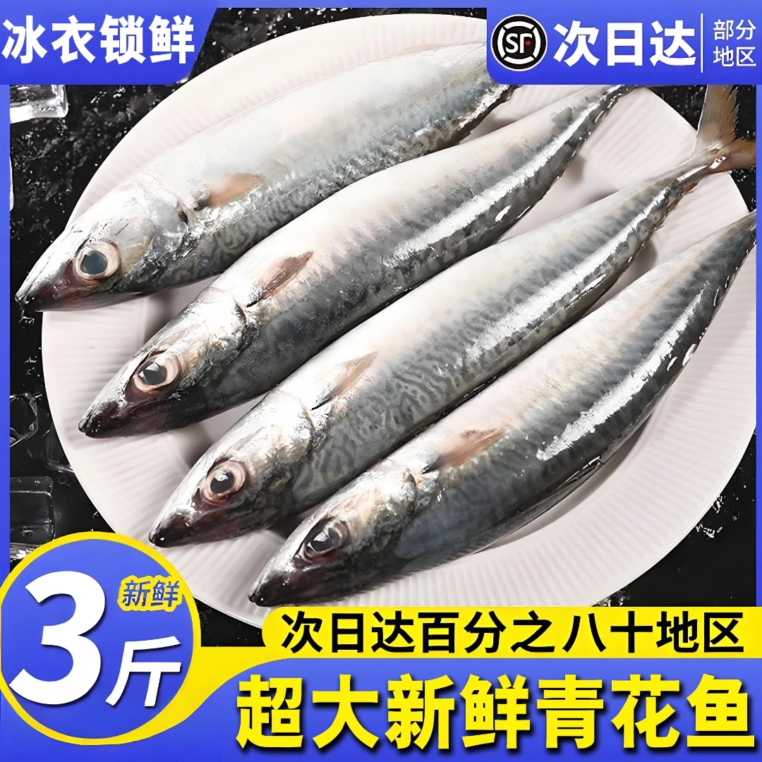 【次日达】3斤青花鱼花仙鱼青占鱼全国冷链次日达深海捕捞纯野生