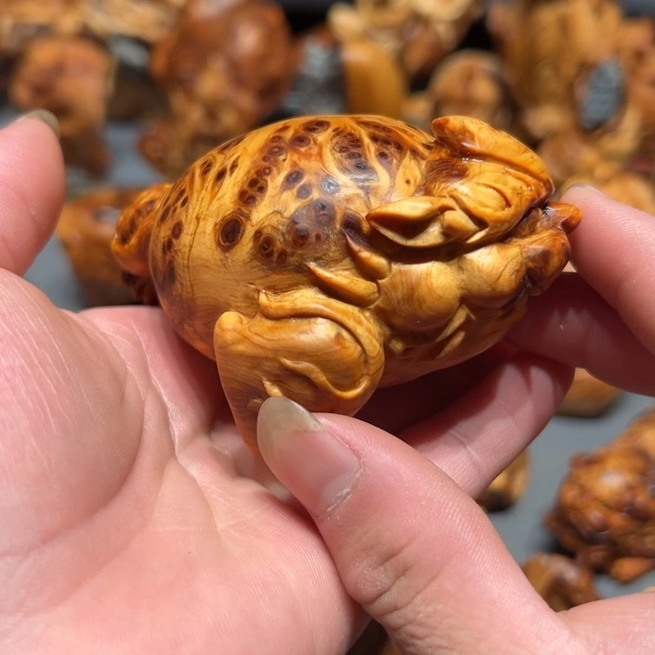 柏木（崖柏）点点关注