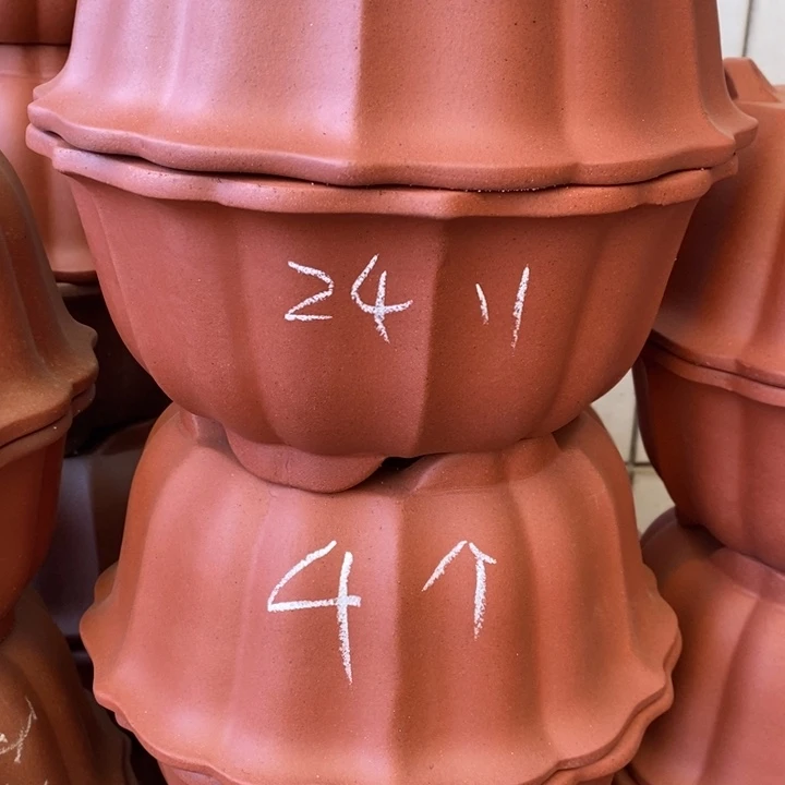 花盆紫砂只顾看着自己