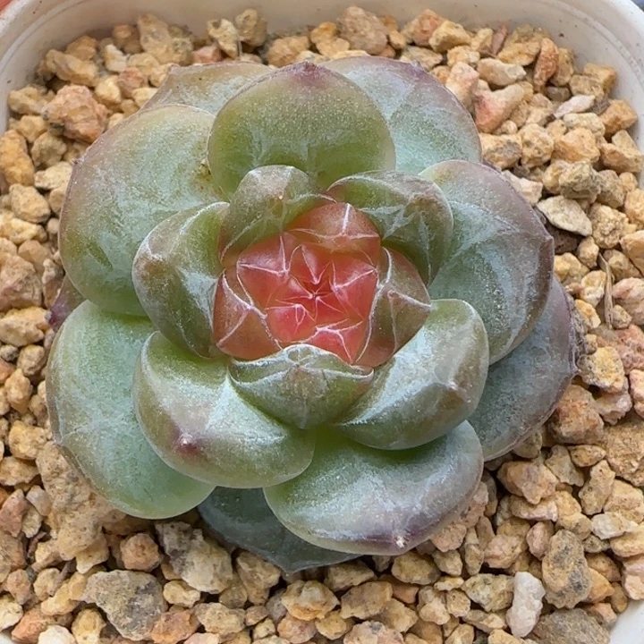 【满19.9包邮非偏远】792