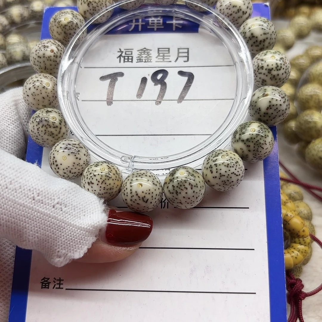 这***好吊坠星月菩提T197*13圆圆