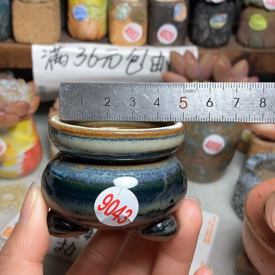 红陶拍5送一个小