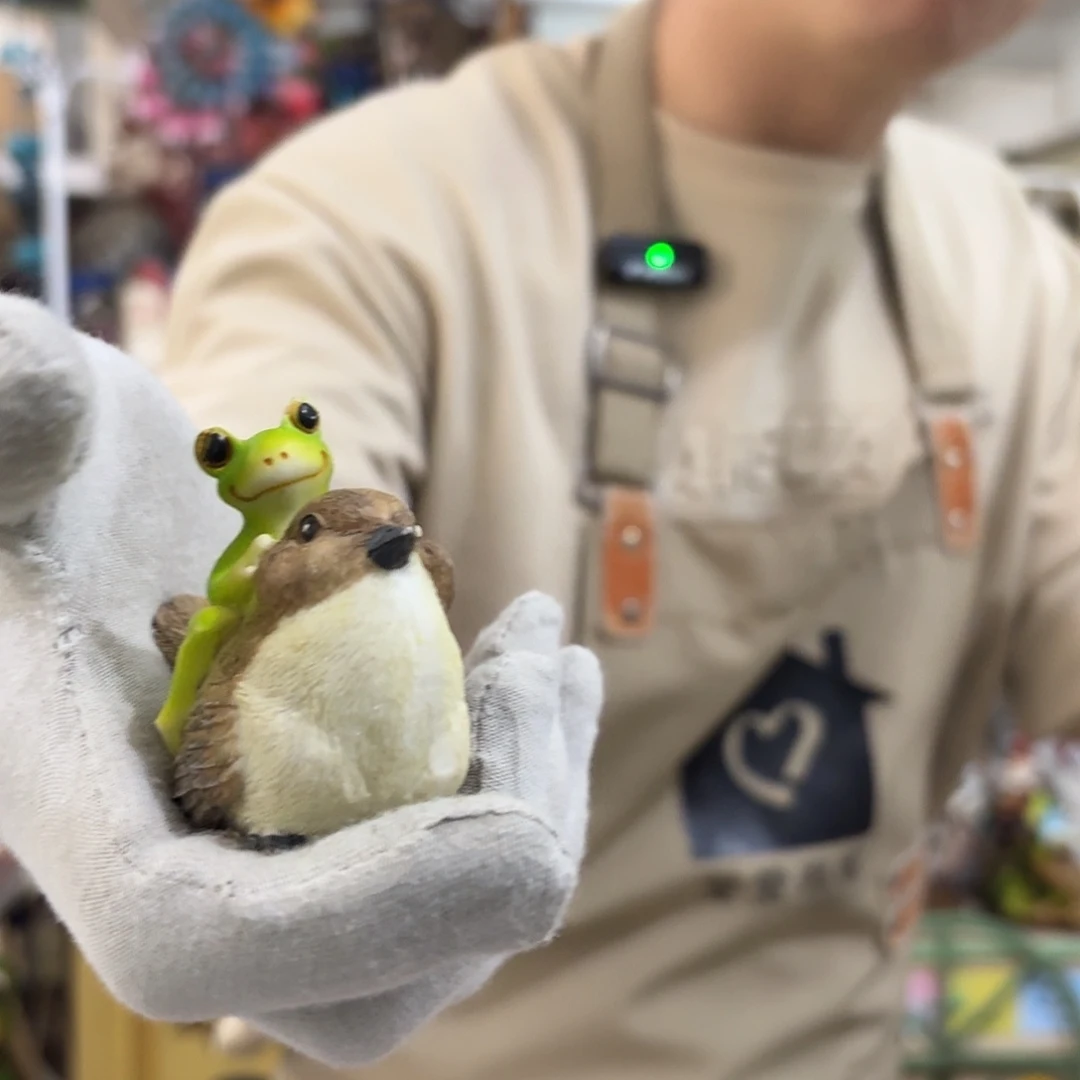 核桃木/黑胡桃（胡桃木）