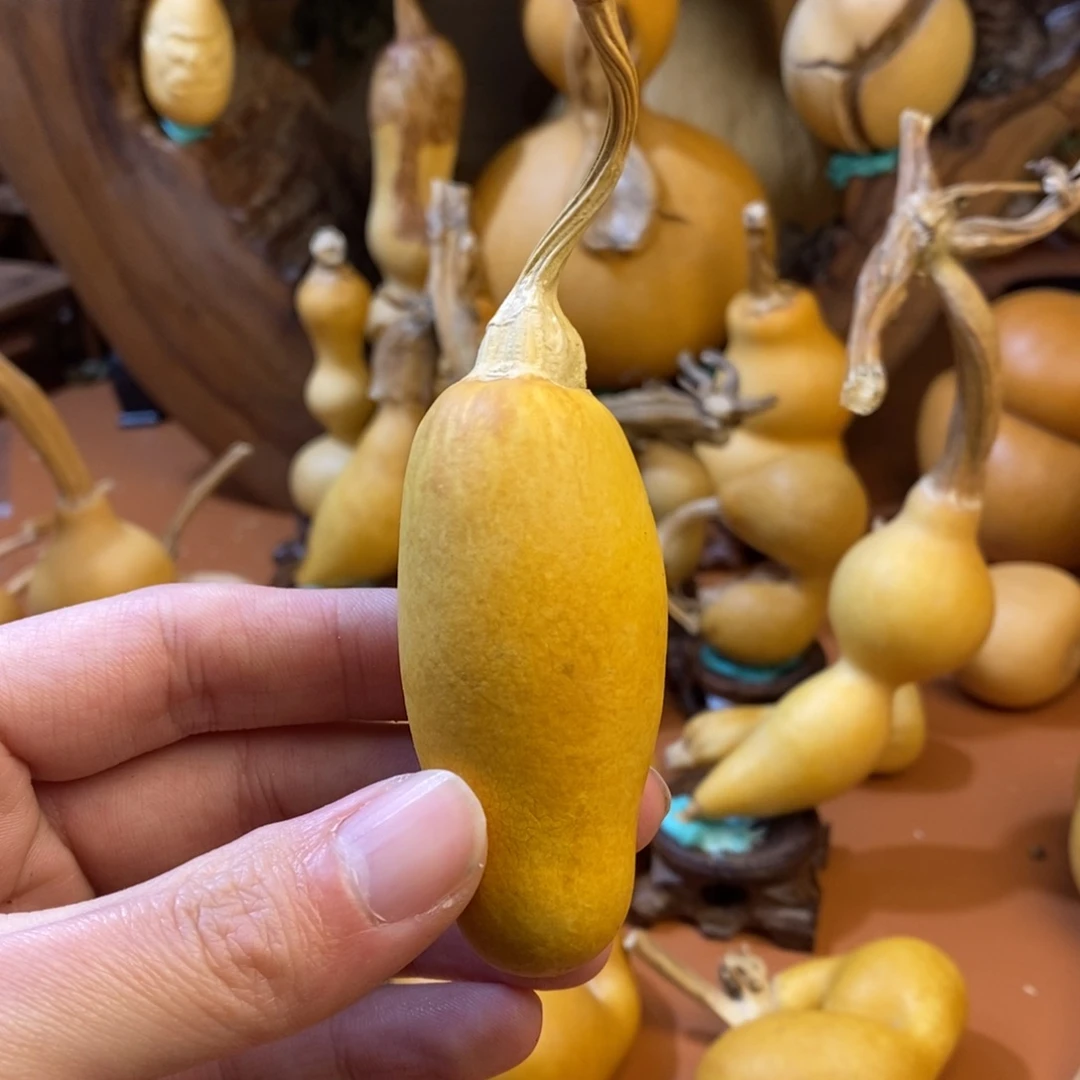 怒***时路途哦哦哦哦哦教练咯