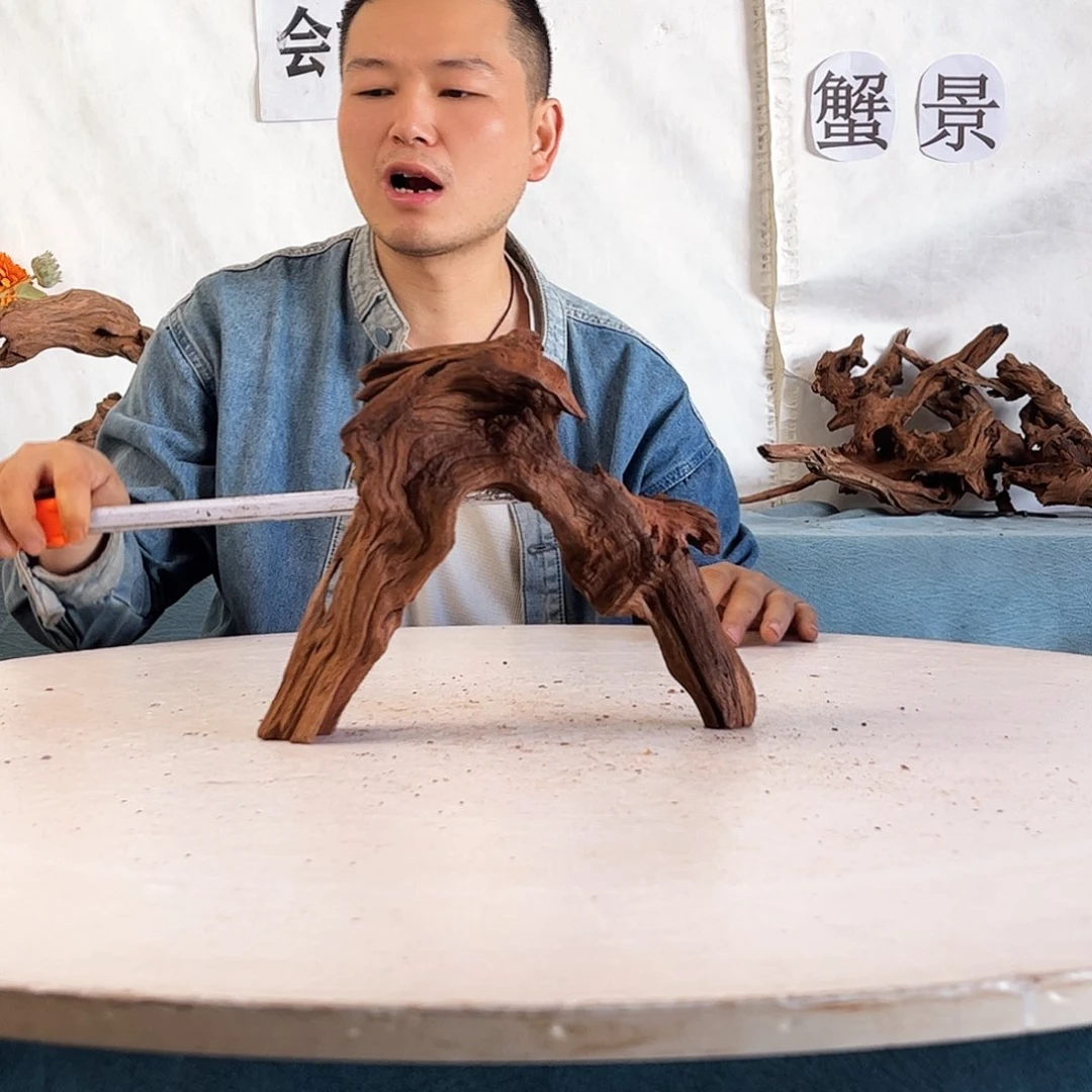 25.21.7 沉木造景爬宠造景