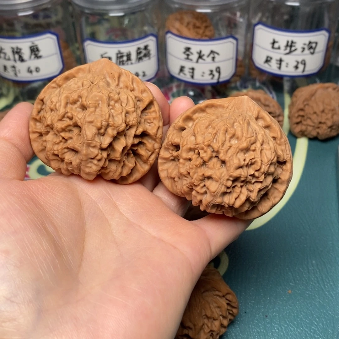 核桃45尺全品龙鳞官帽