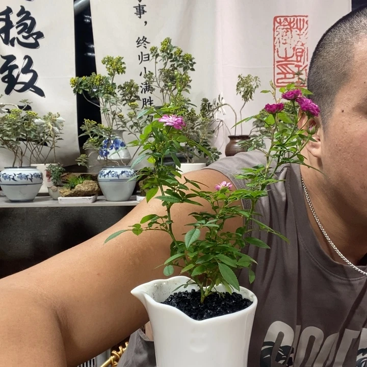 无花朵退款拉黑拉黑70