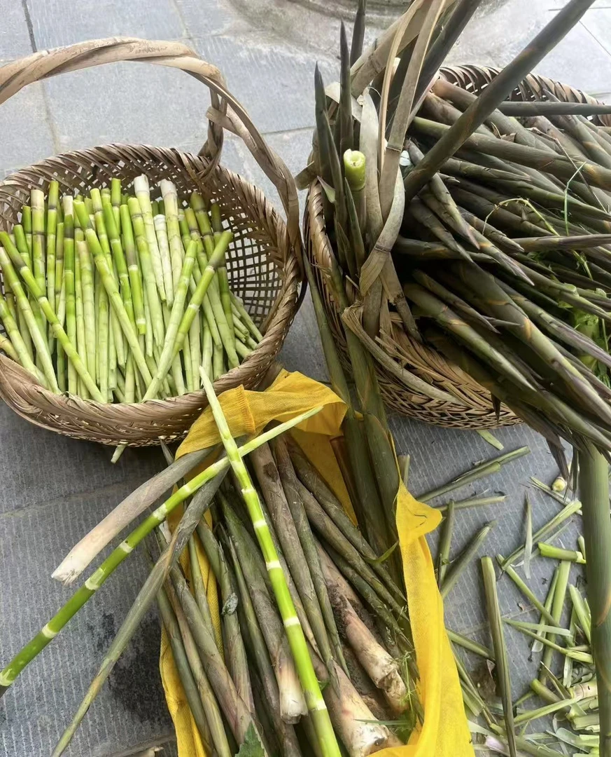 [大妮助农]溧阳特产2025新鲜野竹笋小竹笋嫩笋全国顺丰包邮