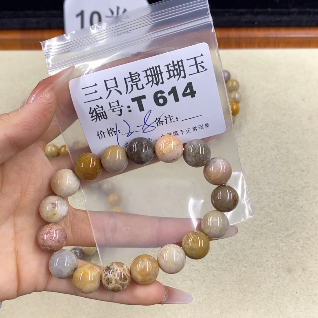 硅化珊瑚（珊瑚玉）1足银镀金镶嵌花***园