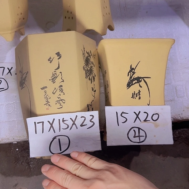 周深周深周深周深周深