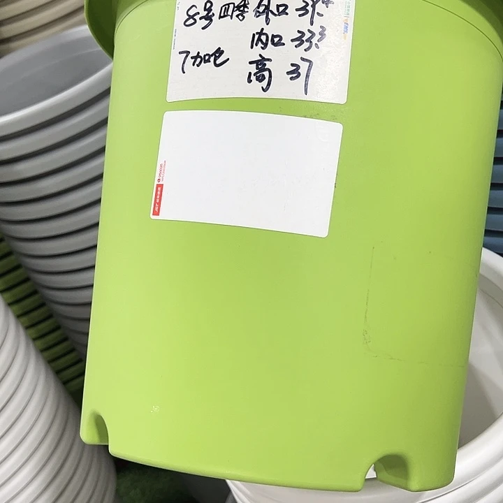 特价8号四季口39高37果绿色