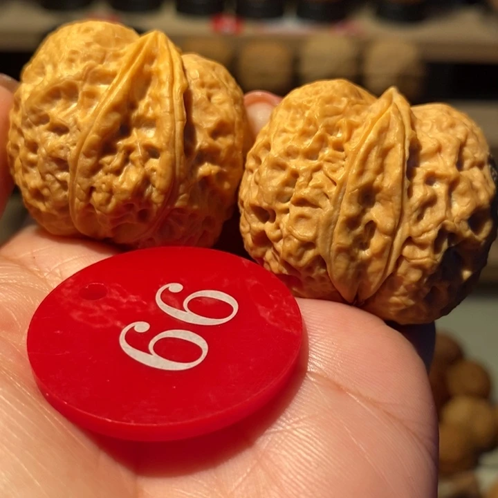 十***丶菩提籽类生命元38尺寸