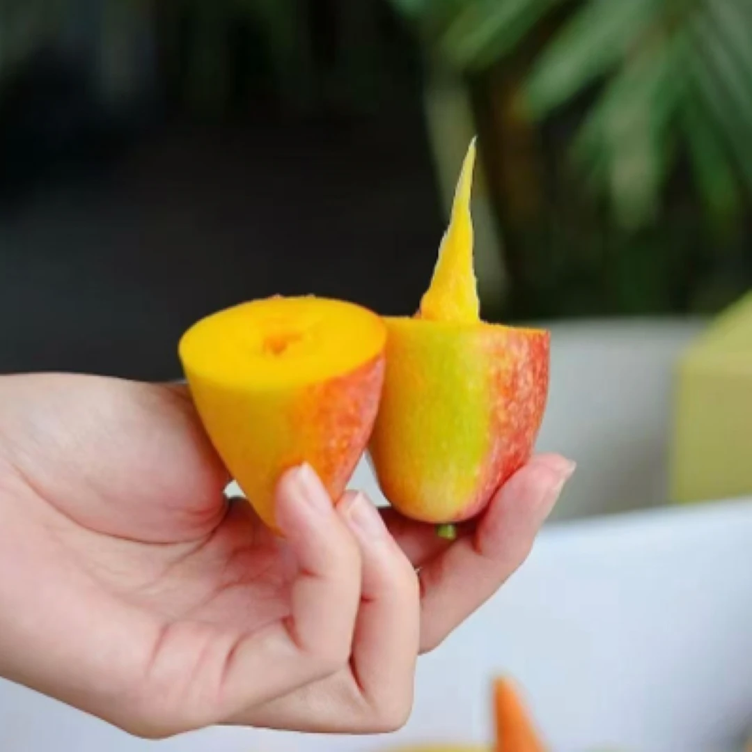 百色一号一级辣椒芒