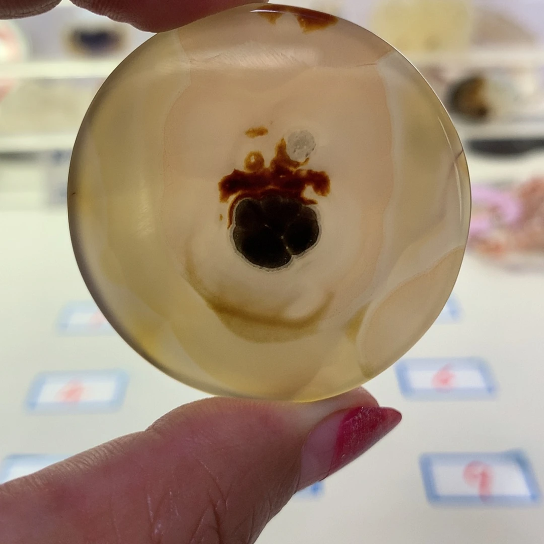玛瑙/玉髓吊坠(不含链)未镶嵌南**鹰