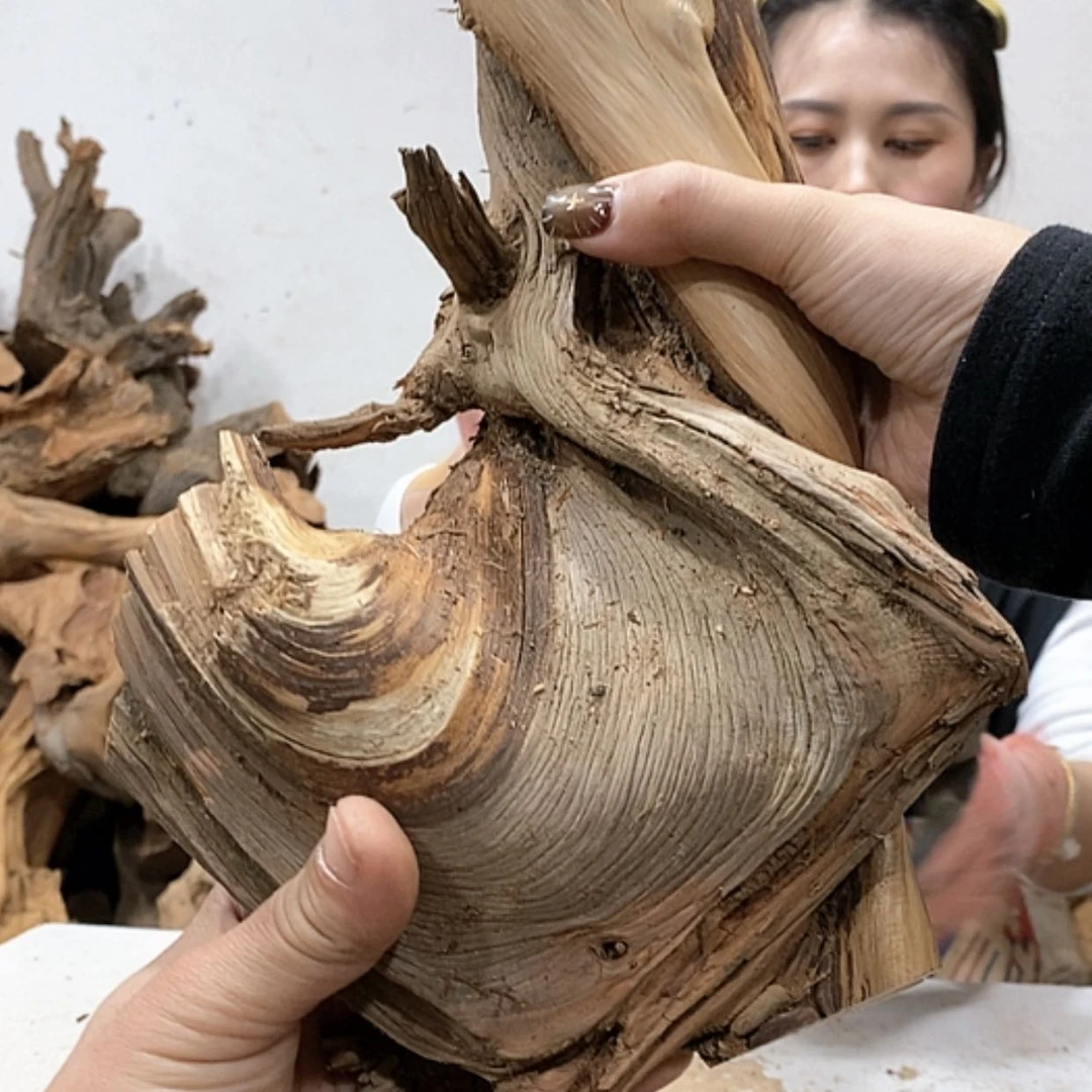 【闪购商品】柏木熟****?我们都是好孩子