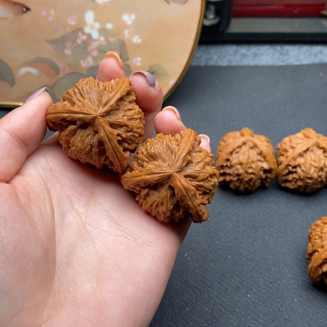 A****i白狮子111111111111