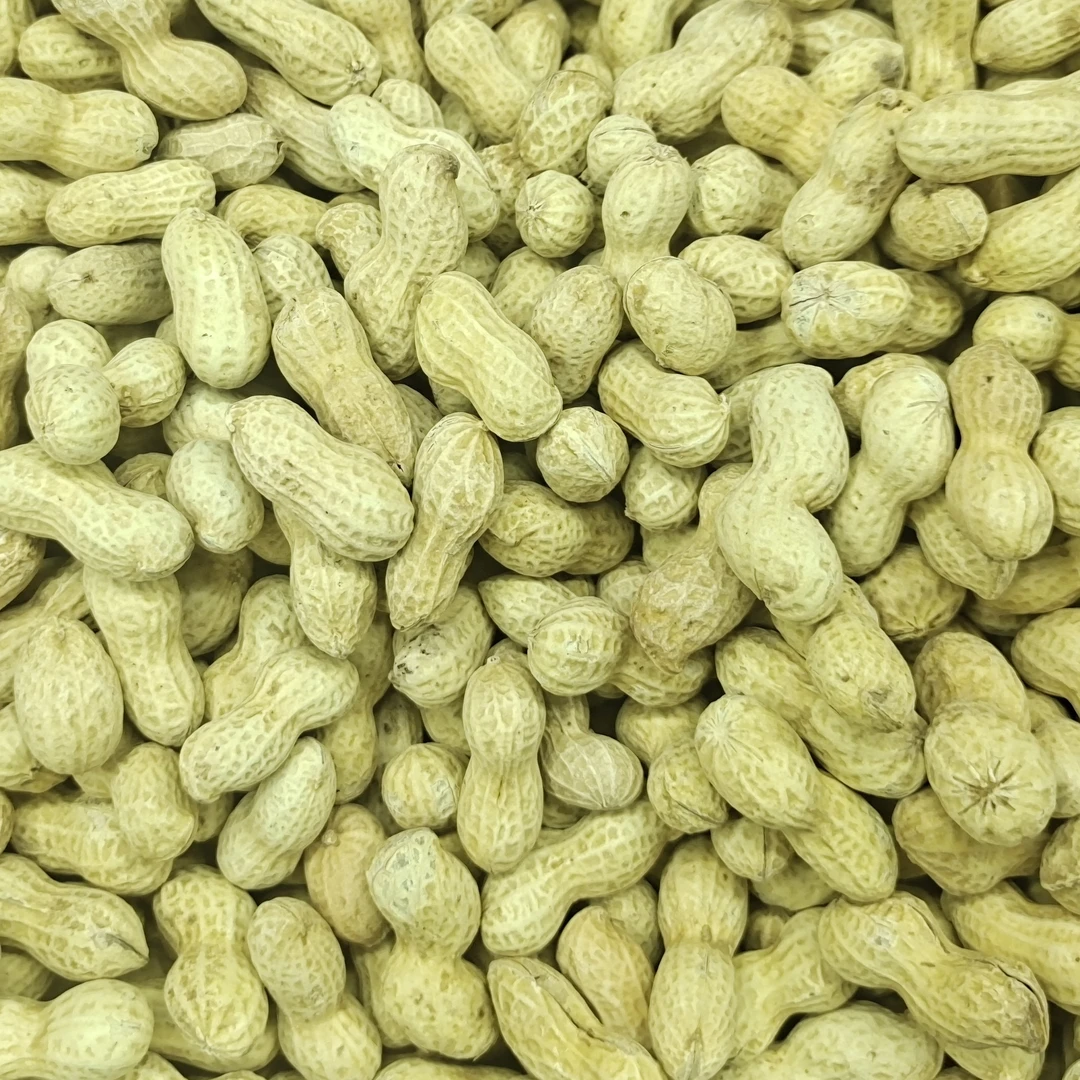 沙土花生蒜香  核桃味花生