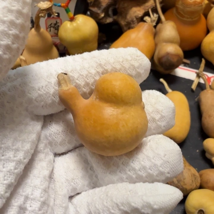 舍***得6666667676777778888999