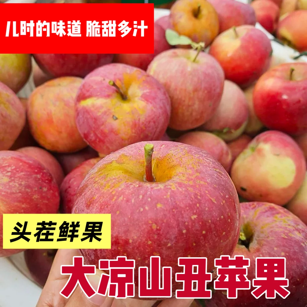 【正宗大凉山盐源丑苹果】高山现摘现发脆甜多汁2/5斤新鲜水果ms