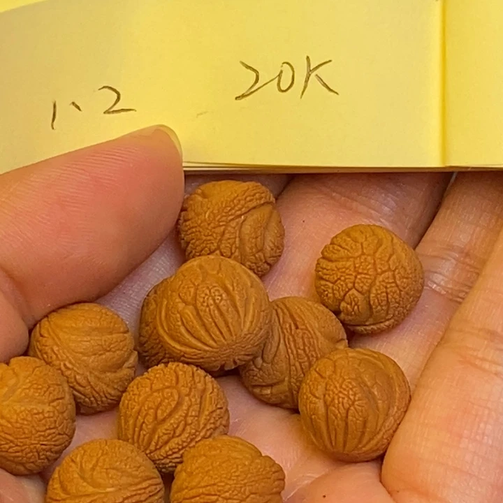 文玩核桃吊坠秦岭龙纹桃核22
