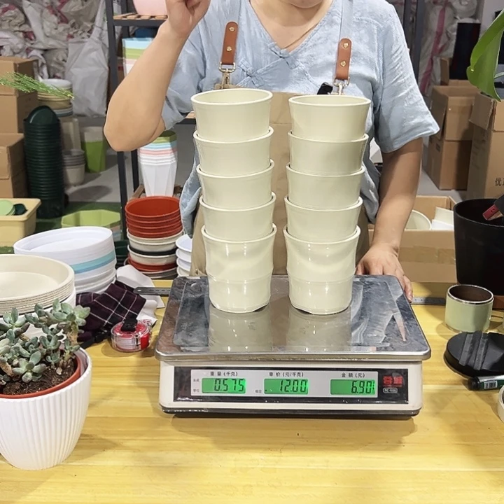 竹节口10高10米色10只无 托