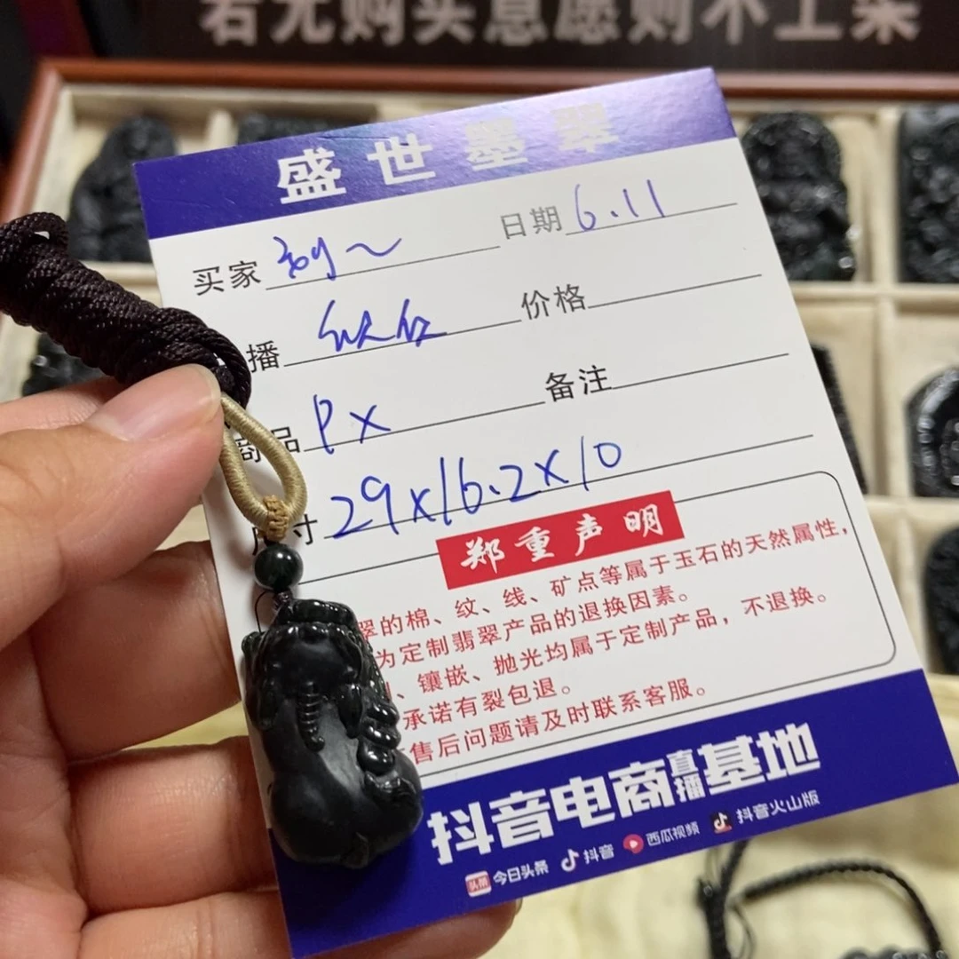 刘***之翡翠未镶嵌颈饰貔貅