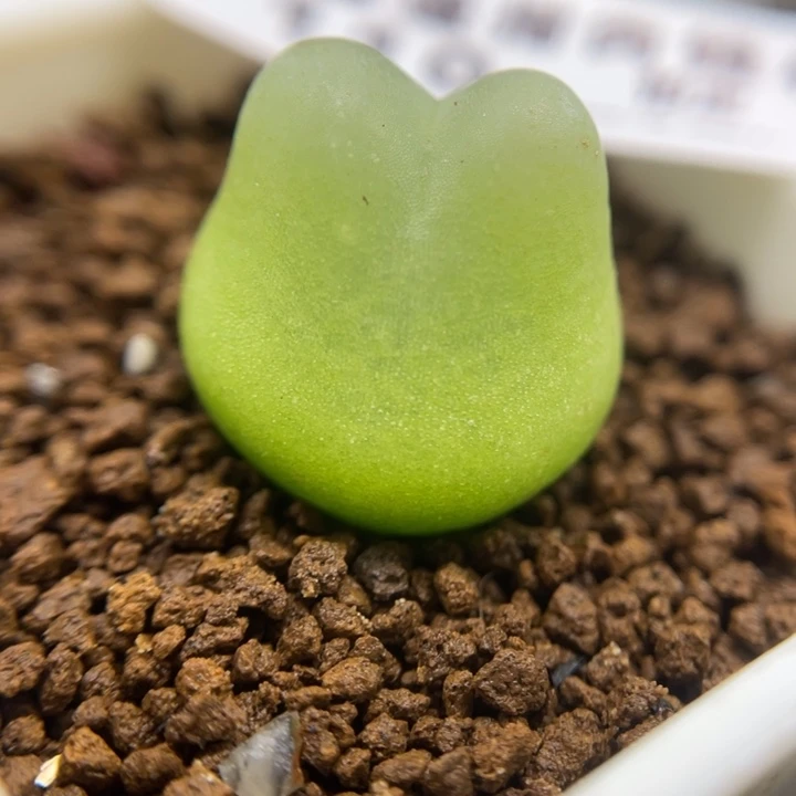 1.5拉登，119号……1111111