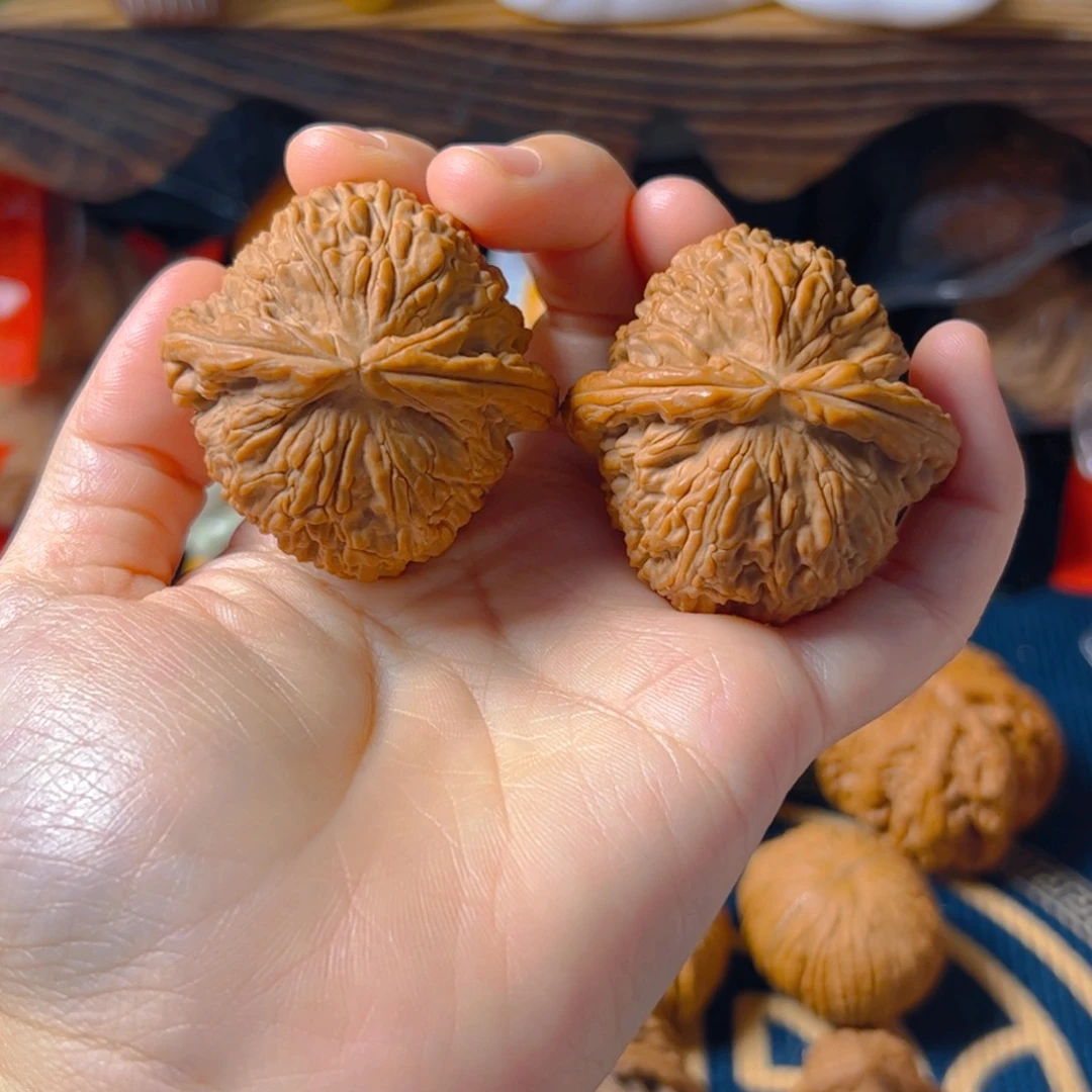 文玩核桃把件白狮子42+