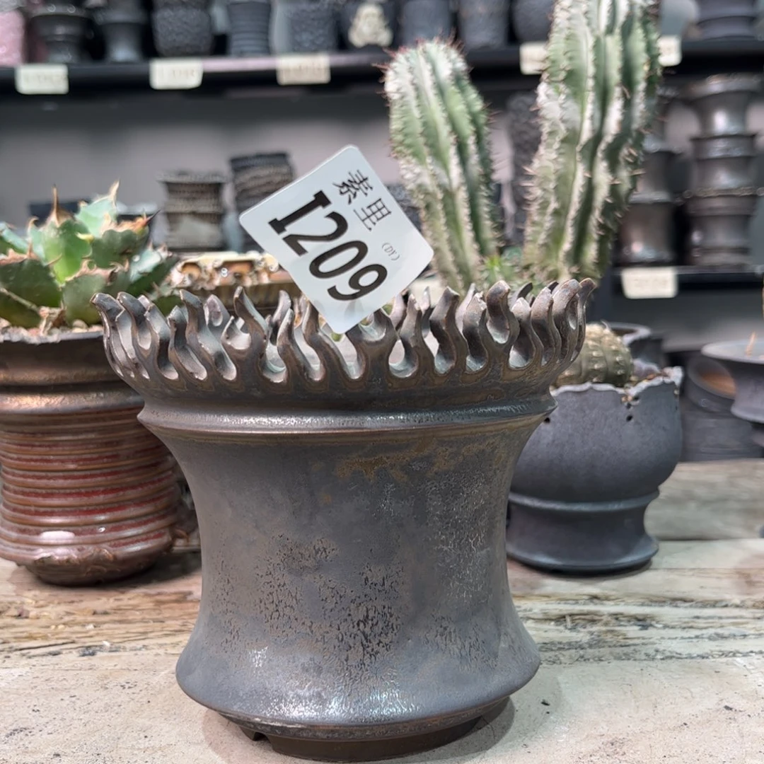 陶内口12.5高10.5景德镇