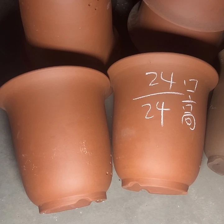 周深周深周深周深